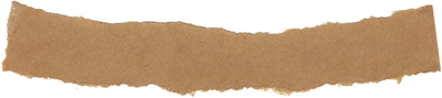 Ripped Paper